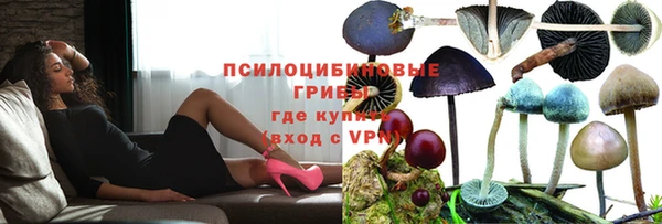 шишки Богородск