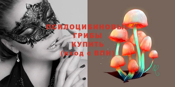 бошки Бородино