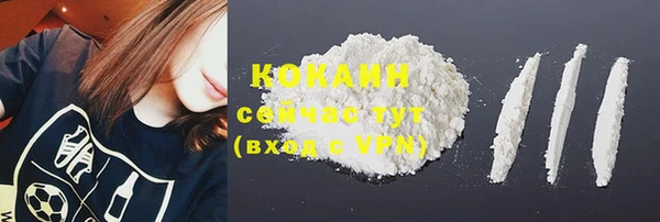 бошки Бородино