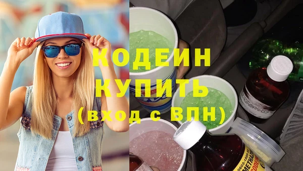 шишки Богородск