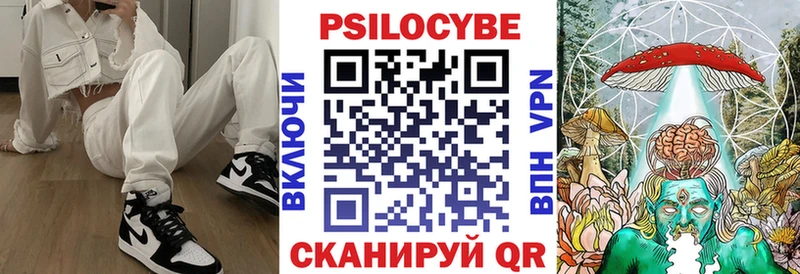 Псилоцибиновые грибы Cubensis  Дно 