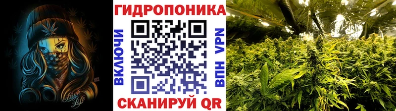Марихуана Ganja Дно